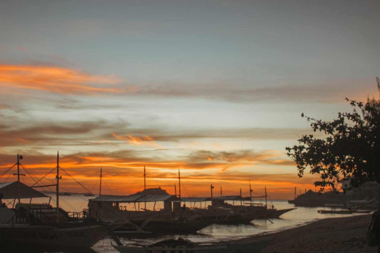 Blue Dolphin Hotel Malapascua Island المظهر الخارجي الصورة